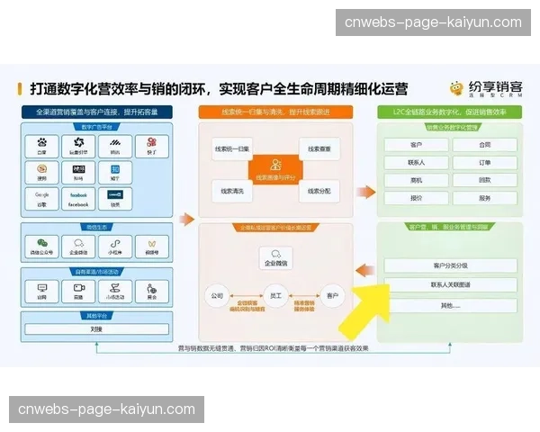 效果广告与品牌广告在内容链路中协同配置 实现营销目标互补