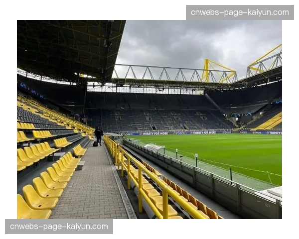 多特蒙德南看台改造计划：每场比赛费用预计达五位数